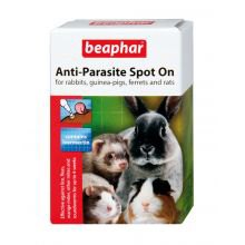 BEAPHAR Anti-Parasite Spot On for Rabbits, Guinea pigs, Ferrets and Rats   x4 BEAPHAR Anti-Parasite Spot On for Rabbits, Guinea pigs, Ferrets and Rats   x4