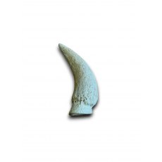 ANCO Naturals Cow Horn Marrows - Each ANCO Naturals Cow Horn Marrows - Each