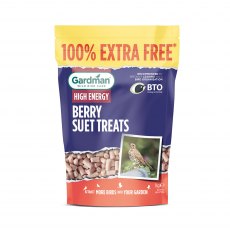 GARDMAN Berry Suet Treats   500g + 100% Extra Free GARDMAN Berry Suet Treats   500g + 100% Extra Free
