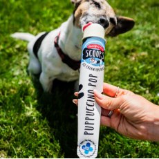 MARSHFIELD FARM Puppuccino Pop   110ml MARSHFIELD FARM Puppuccino Pop   110ml