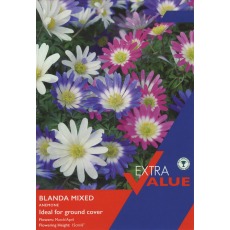 TAYLORS Anemone Blanda Mixed TAYLORS Anemone Blanda Mixed