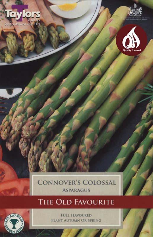 SVEG2 Asparagus Connovers