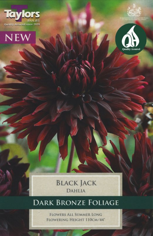 TS318 Black Jack