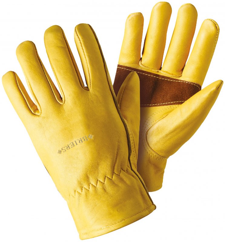4540003 4540004 - Ultimate Golden Leather - Cut out