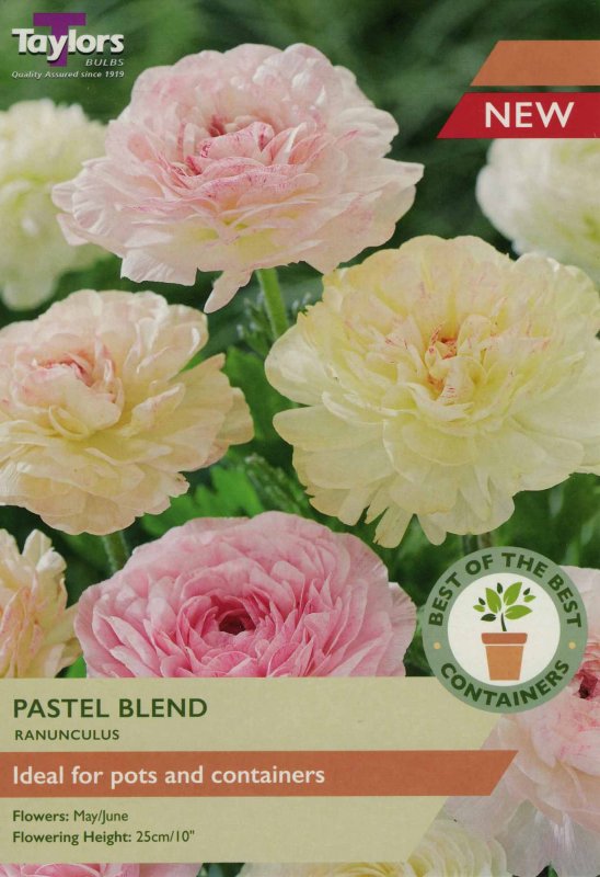 SBOB20 Ranunculus Pastel Blend