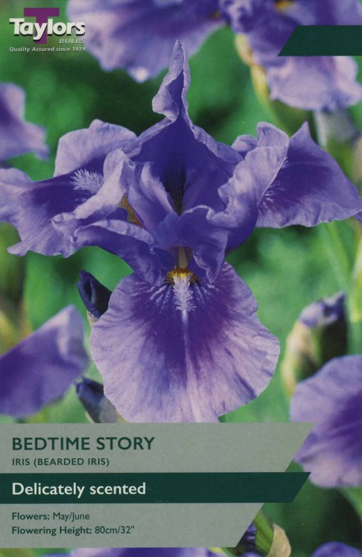 TS848 Iris Bedtime Story