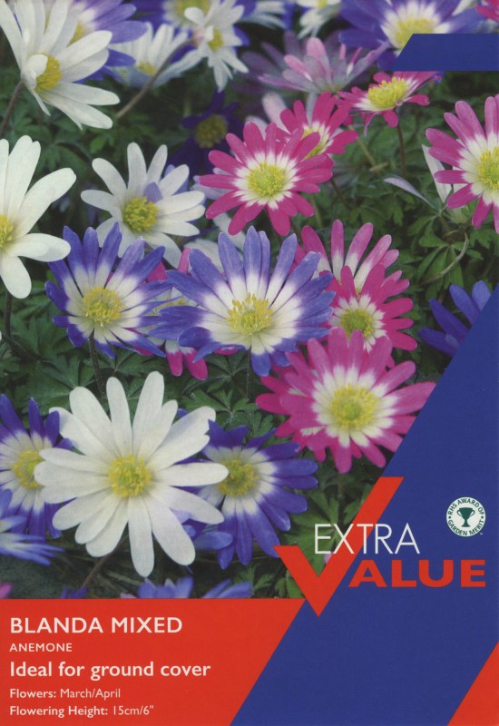 EV131-Anemone-Blanda-Mix-scaled