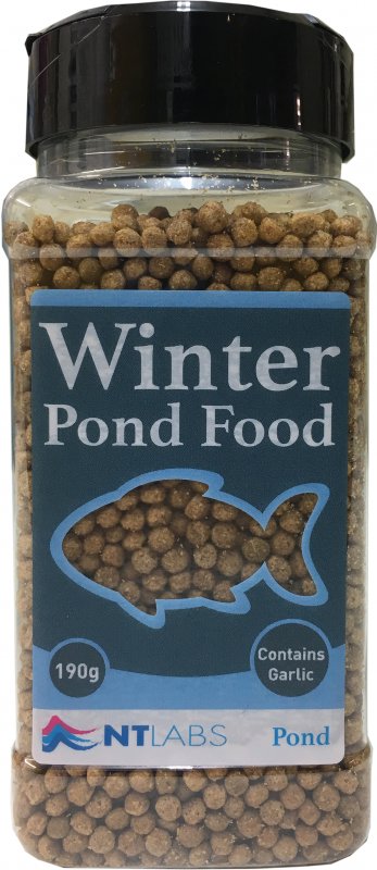 NTLabs-Pond-winter pond food individual