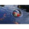 Floating Fish Sphere