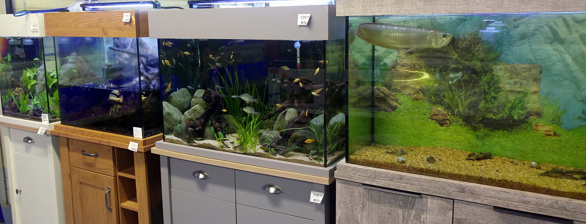 Aquariums and Cabinets