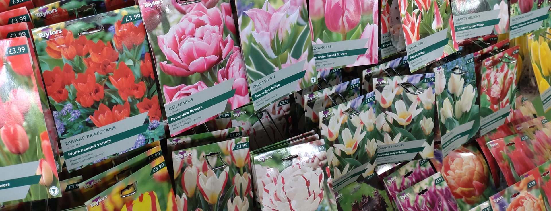 Bulbs now in!