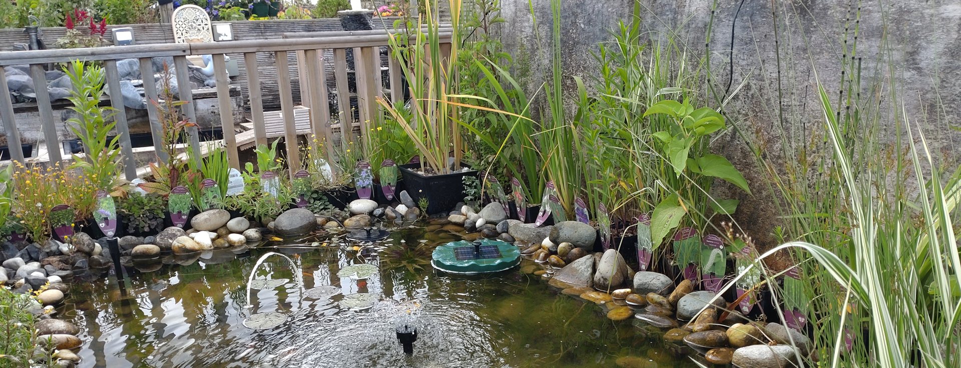 Relax by your pond