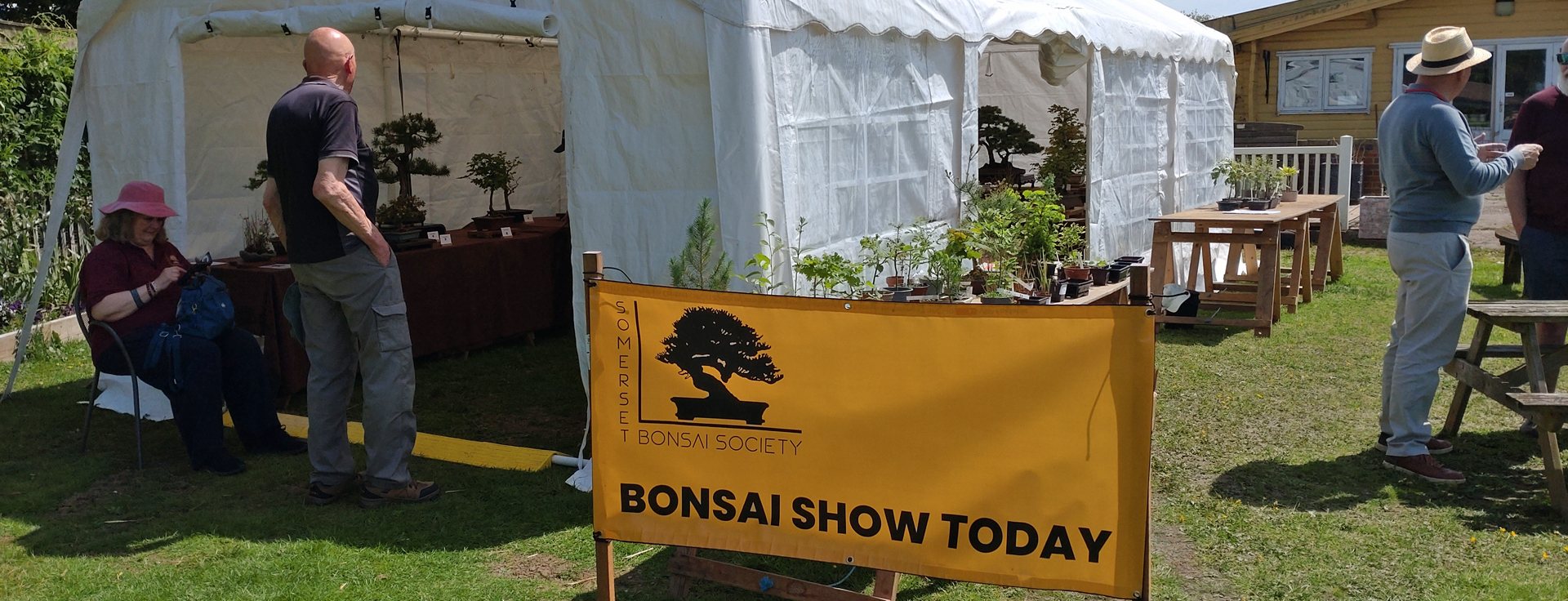 Bonsai Show