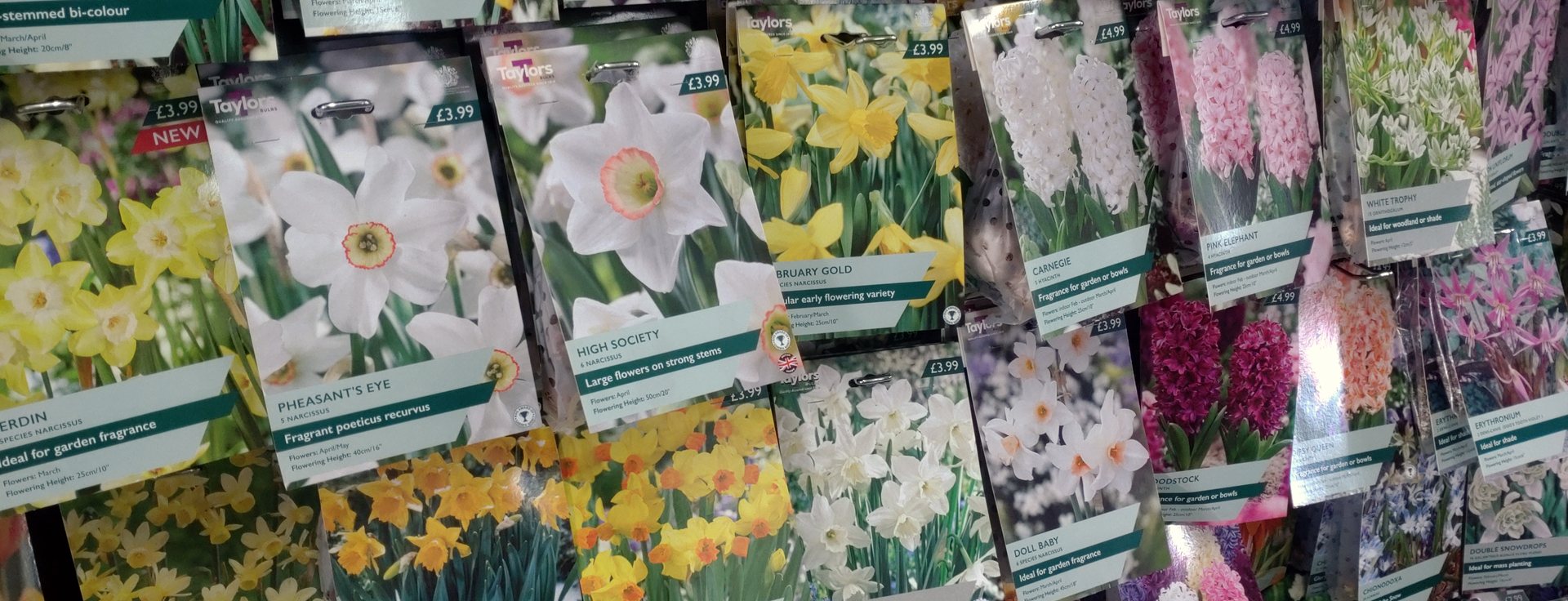 It's Bulb time!