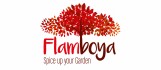 Flamboya