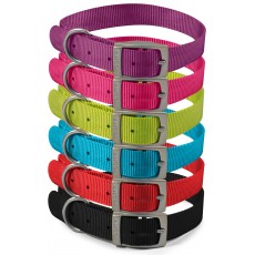 Dog Collars