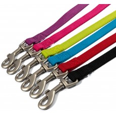 Dog Leads