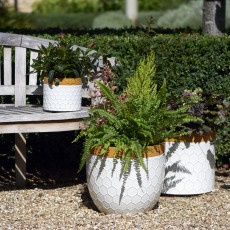 Outdoor Pots & Containers