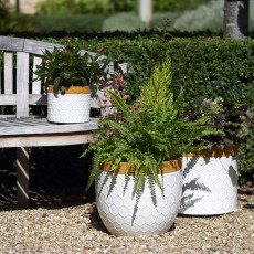 Pots & Containers