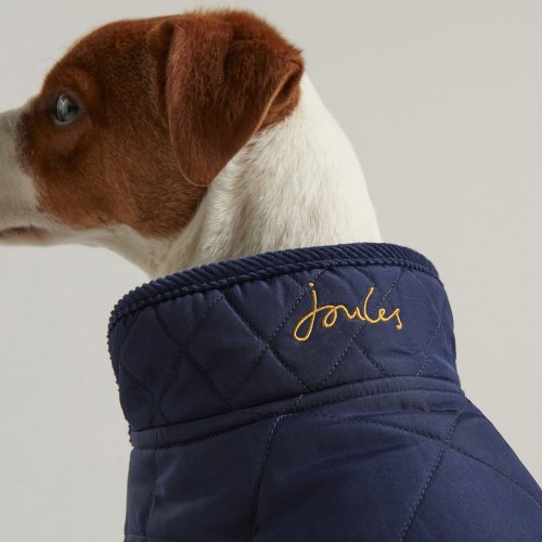Clothing & Accessories