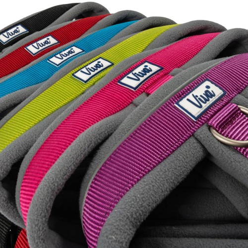 Collars, Leads & Harnesses