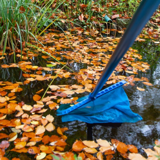 15 garden tips for October