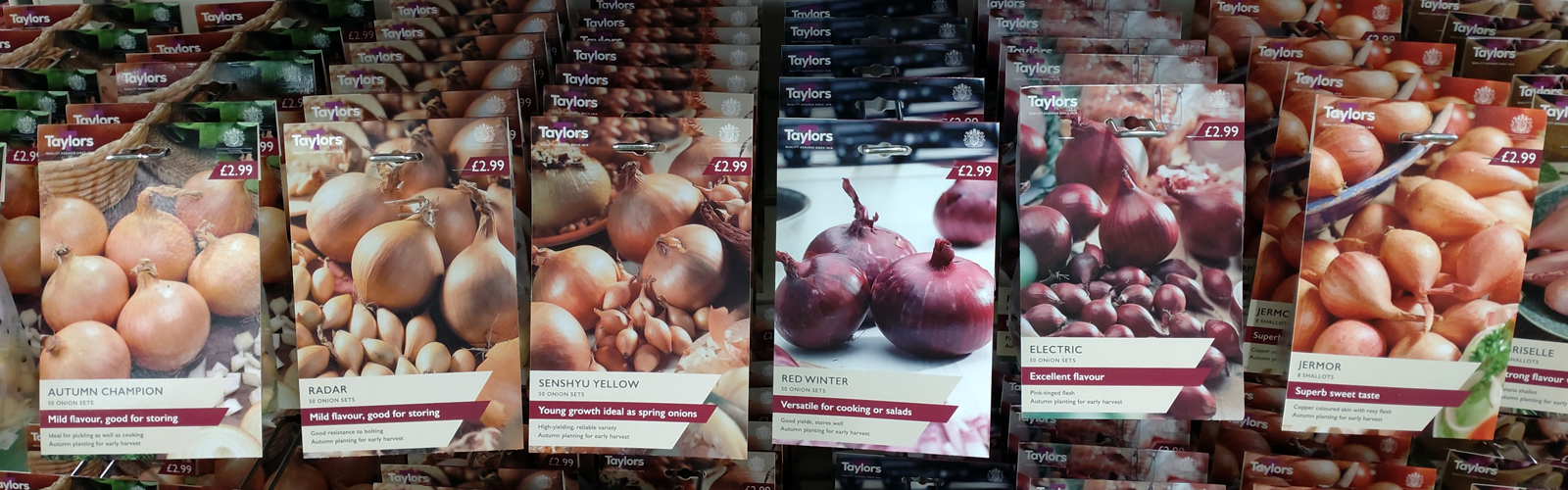 Autumn Vegetables