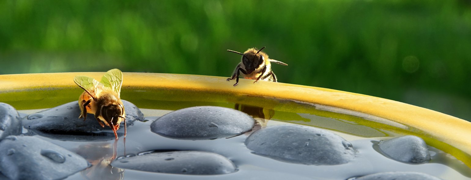 Pet Beds, Food & Pet Toy Shop Wellington, Somerset Willowbrook
