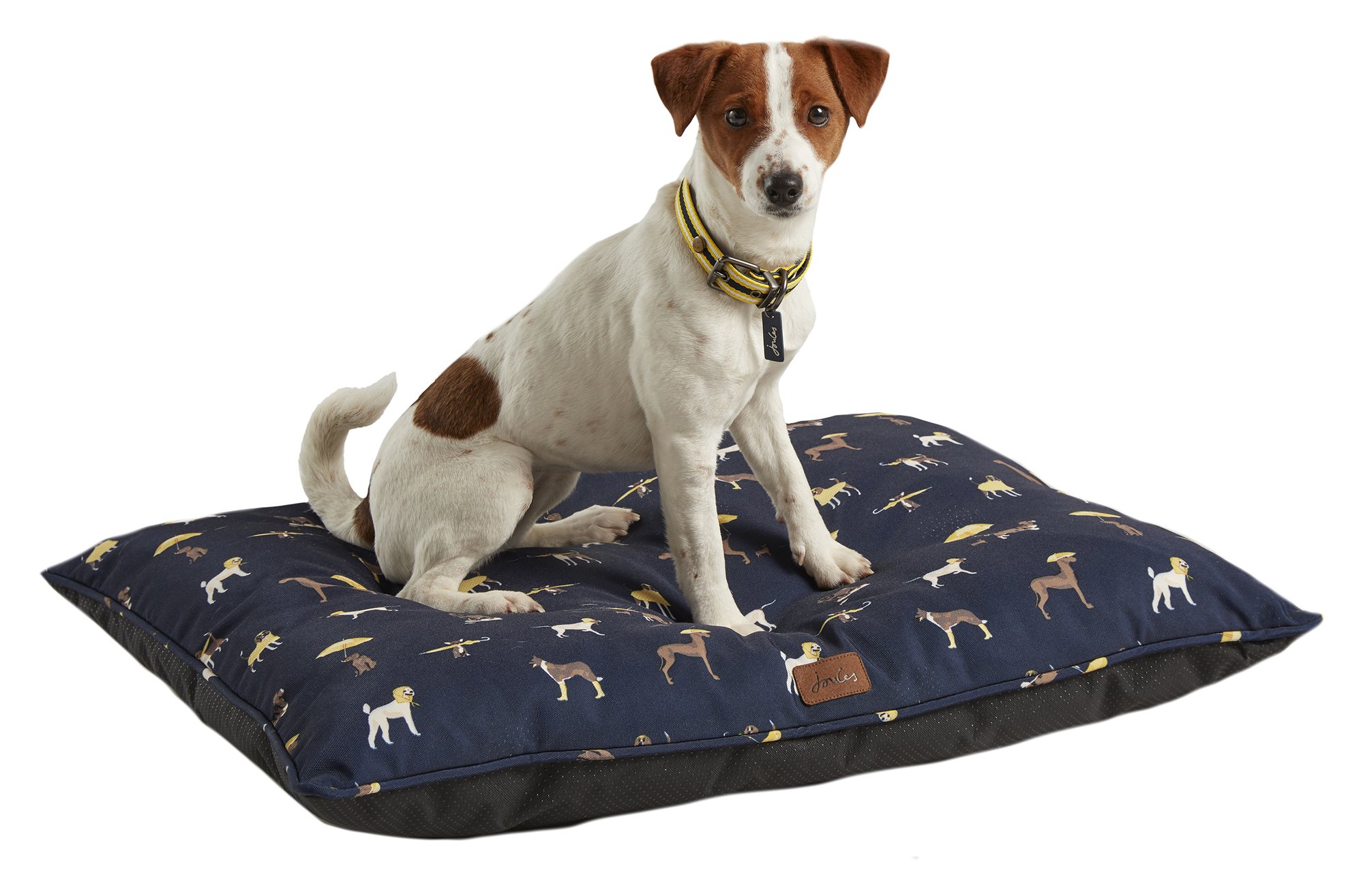 Joules Dog Print Mattress Medium Willowbrook Nursery and Garden Centre