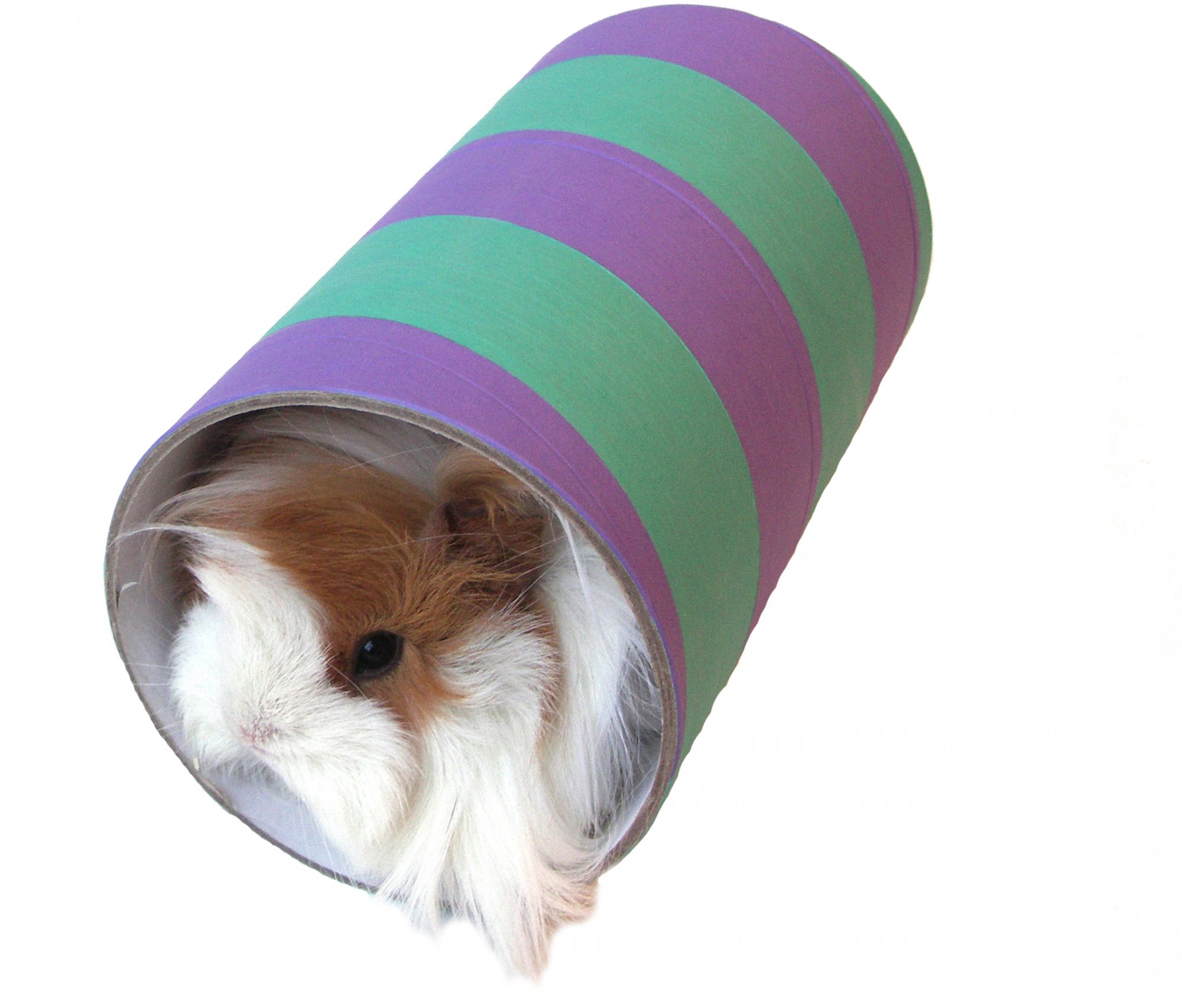 Rosewood Pet Products Large Guinea Pig Chew Tube Willowbrook Nursery