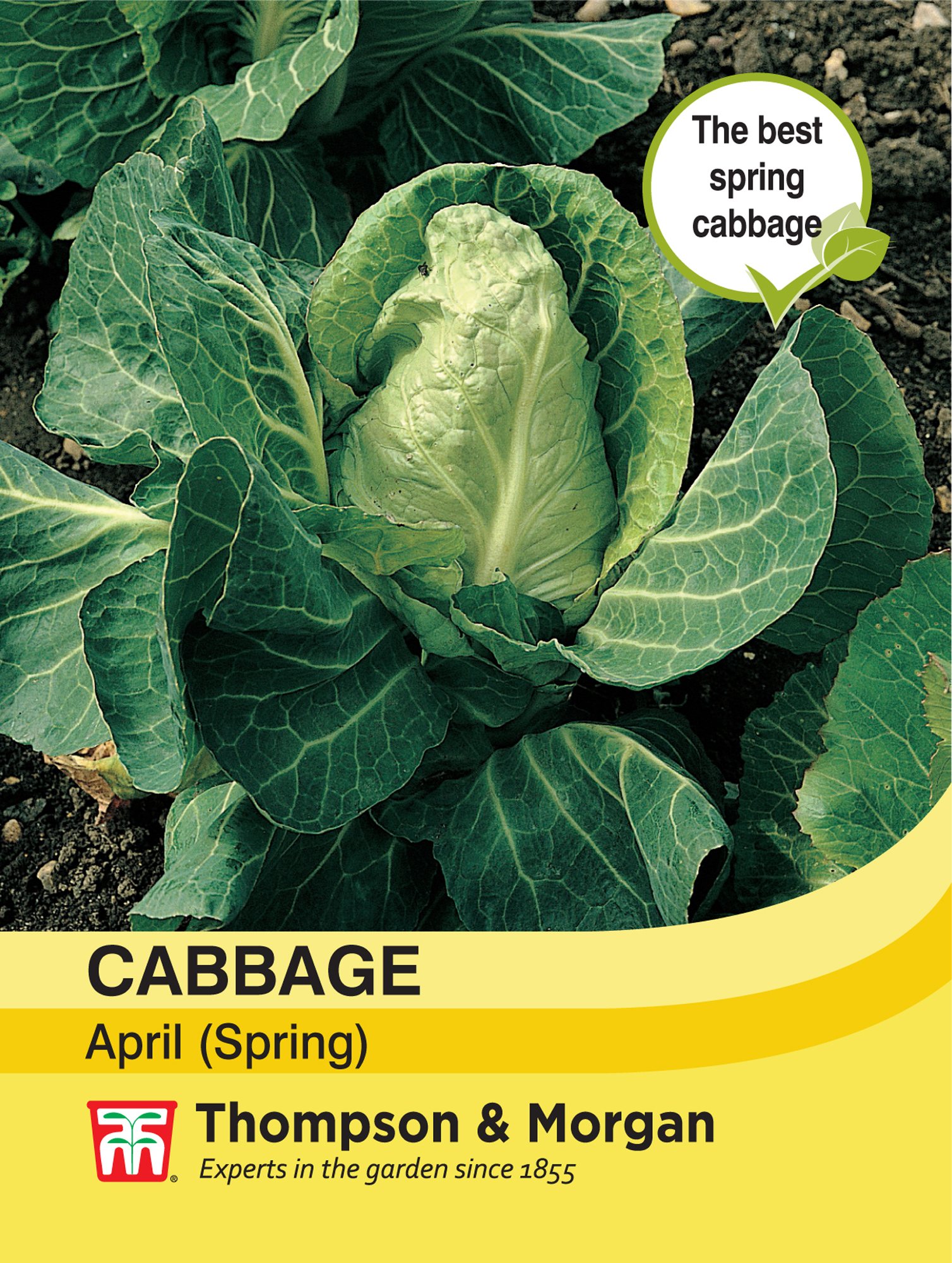 April Cubbage Thompson and Morgan Cabbage (Spring) April - Willowbrook Nursery and ...