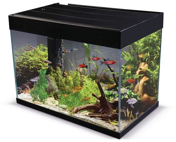 betta lifespace nano replacement hood betta lifespace nano replacement hood