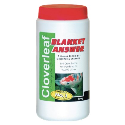 CLOVERLEAF Blanket Answer 800g