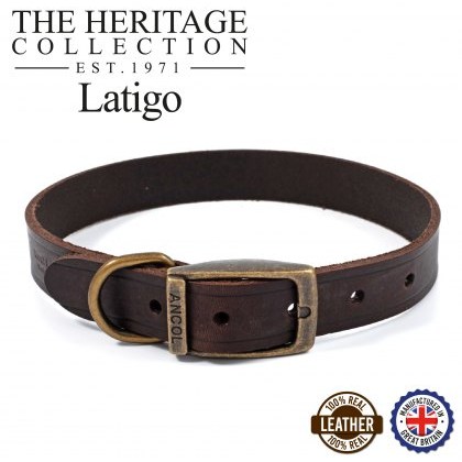 ANCOL Latigo Leather Collar Havana 28-36cm Size 3