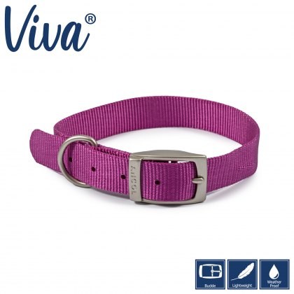 ANCOL Viva Collar Purple 39-48cm Size 5 ANCOL Viva Collar Purple 39-48cm Size 5