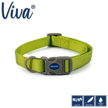 ANCOL Viva Adjustable Collar Lime 45-70cm Size 5-9 ANCOL Viva Adjustable Collar Lime 45-70cm Size 5-9