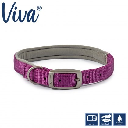 ANCOL Padded Viva Collar Purple 50-59cm Size 7 ANCOL Padded Viva Collar Purple 50-59cm Size 7