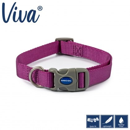 ANCOL Viva Adjustable Collar Purple 45-70cm Size 5-9 ANCOL Viva Adjustable Collar Purple 45-70cm Size 5-9