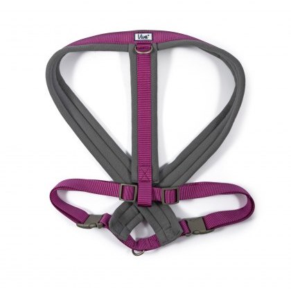 ANCOL Viva Padded Harness Purple XXL 97-130cm