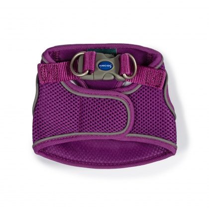 ANCOL Viva Step-in Harness Purple XS