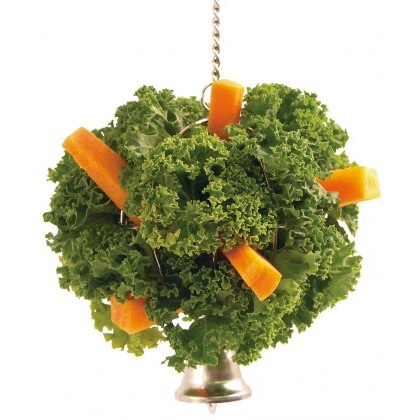 OPTIONS Hanging Treat Ball