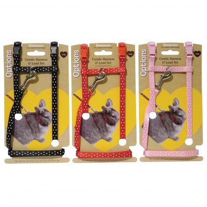 OPTIONS Polka Dot Harness & Lead Large