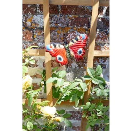 Large Butterfly