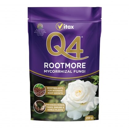 VITAX Q4 Rootmore 250g VITAX Q4 Rootmore 250g