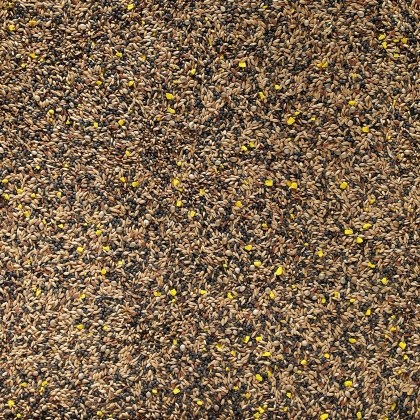 JOHNSTON & JEFF Canary Seed 1kg JOHNSTON & JEFF Canary Seed 1kg