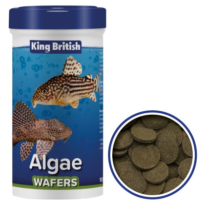 KING BRITISH Algae Wafers KING BRITISH Algae Wafers