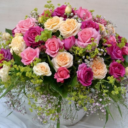 Rose Timeless Purple 3Ldp / 4Ldp Rose Timeless Purple 3Ldp / 4Ldp