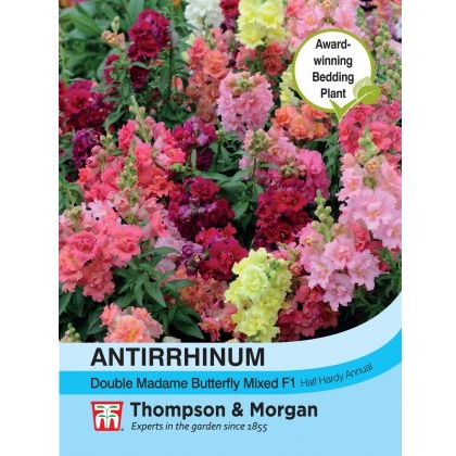 Antirrhinum Double Madam Butterfly Mixed