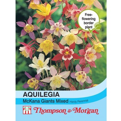 Aquilegia McKana Giant Hybrids Mixed