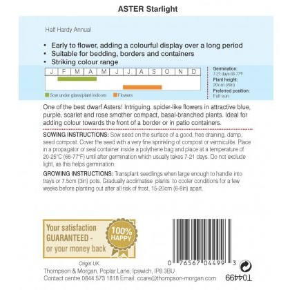 Aster Starlight Mixed
